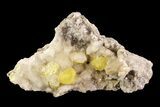 Sulfur Crystals On Selenite - Cianciana Mine, Italy #93656-2
